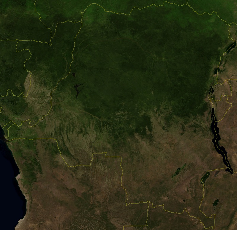 Congo Rainforest grafika