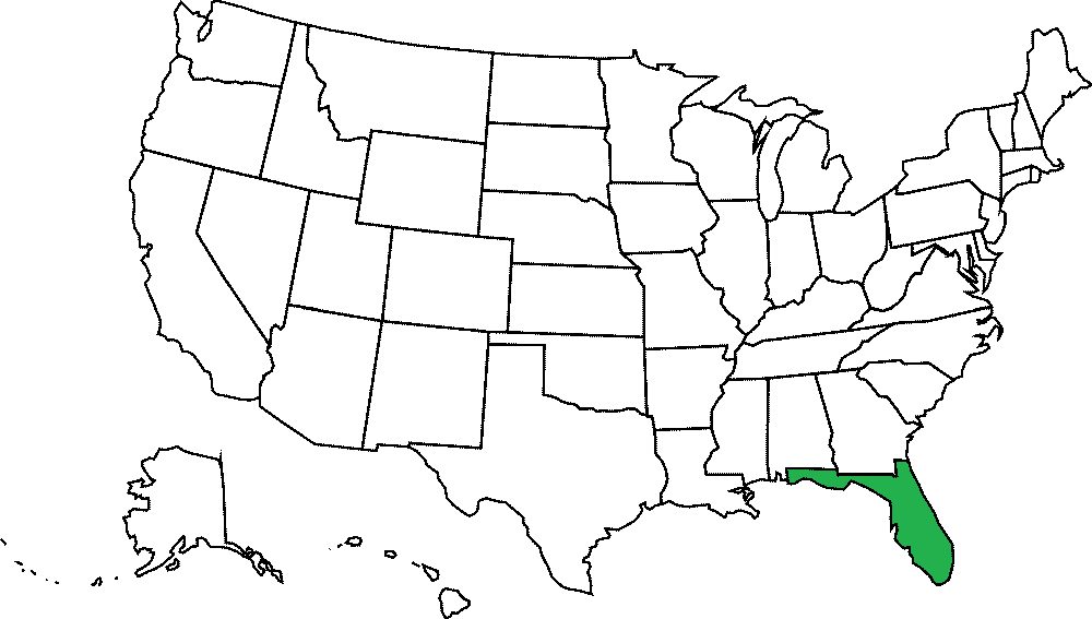 Florida grafika