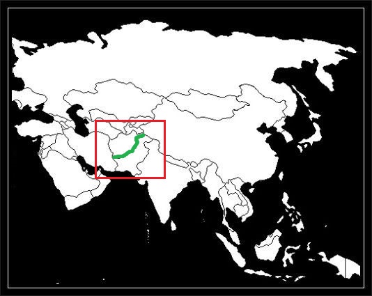 granica afgańsko-pakistańska grafika