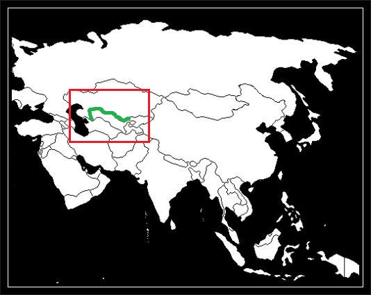 granica kazachsko-uzbecka grafika