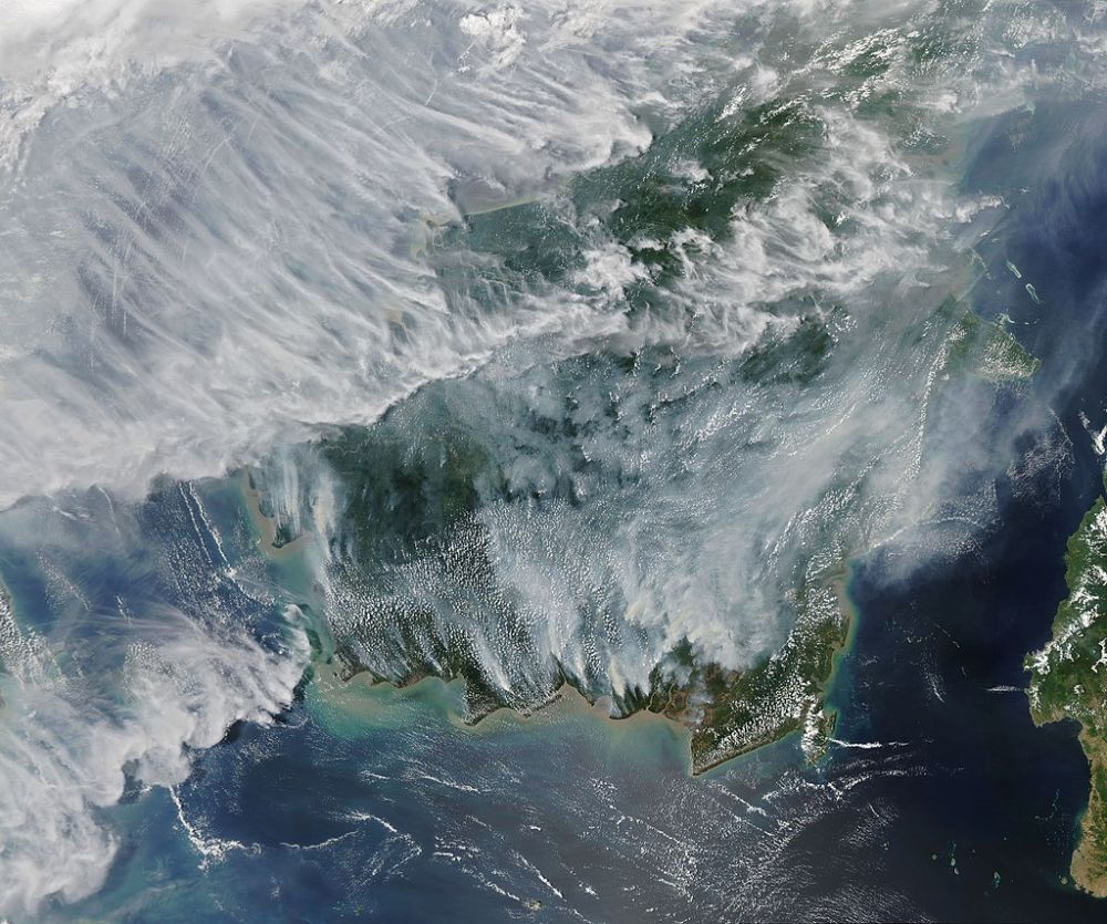 Indonesian forest fires grafika