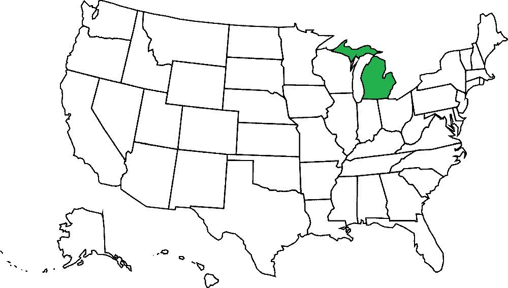 Michigan grafika