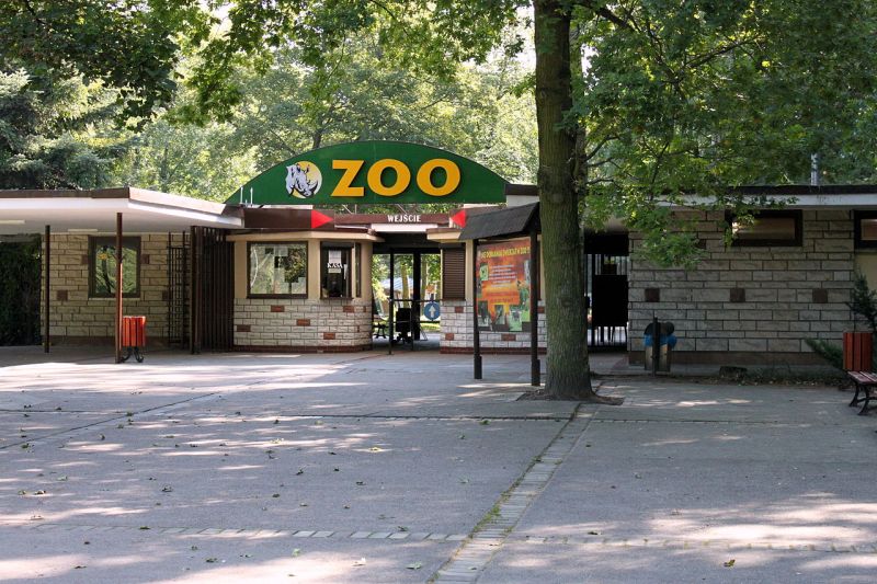 New Zoo in Poznań grafika