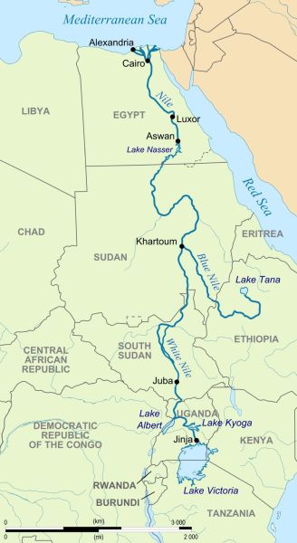 Nile grafika