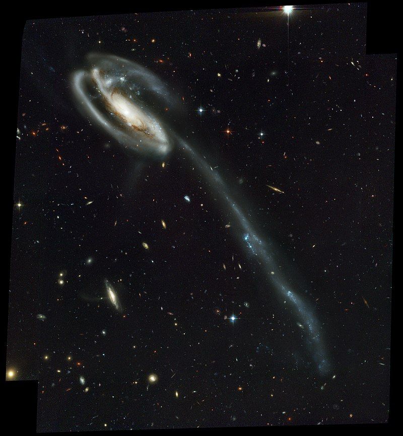 Tadpole Galaxy grafika