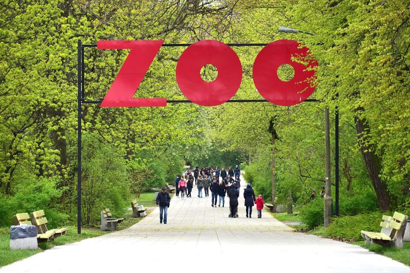 Zoo in Warsaw grafika