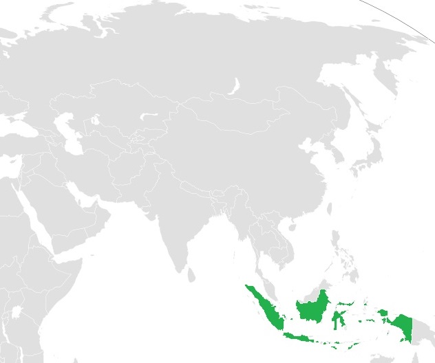 Indonesian language grafika