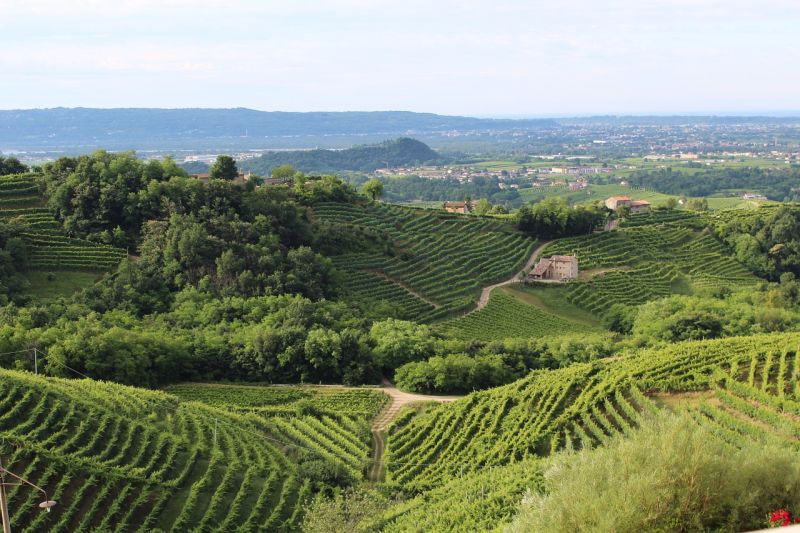 10 countries with the largest wine production